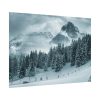 92368-42.jpg Car in Mountain Landscape With Snowy Trees Poster