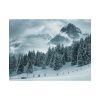 92370-15.jpg Car in Mountain Landscape With Snowy Trees Poster