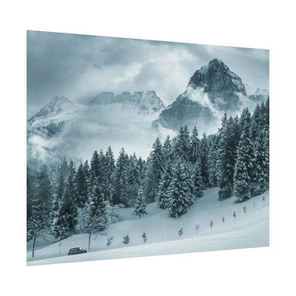 92370-17.jpg Car in Mountain Landscape With Snowy Trees Poster