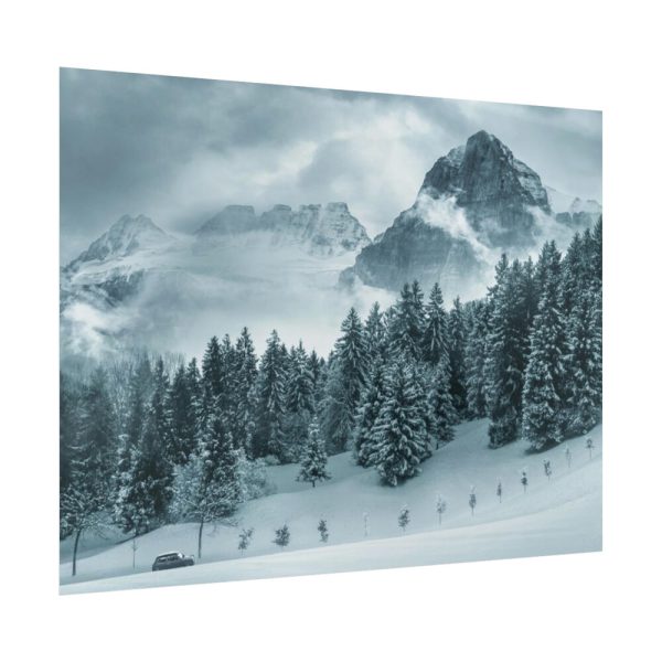 92371-17.jpg Car in Mountain Landscape With Snowy Trees Poster