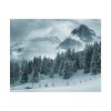 92372-15.jpg Car in Mountain Landscape With Snowy Trees Poster