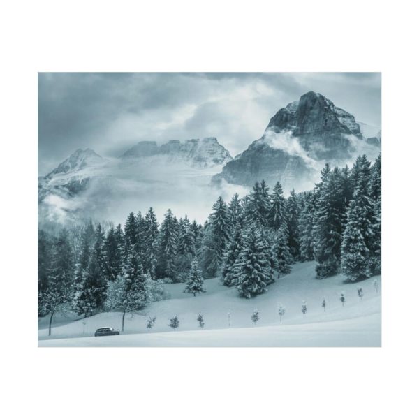 92372-15.jpg Car in Mountain Landscape With Snowy Trees Poster