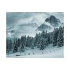 92373-15.jpg Car in Mountain Landscape With Snowy Trees Poster