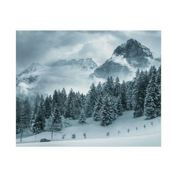 92373-15.jpg Car in Mountain Landscape With Snowy Trees Poster