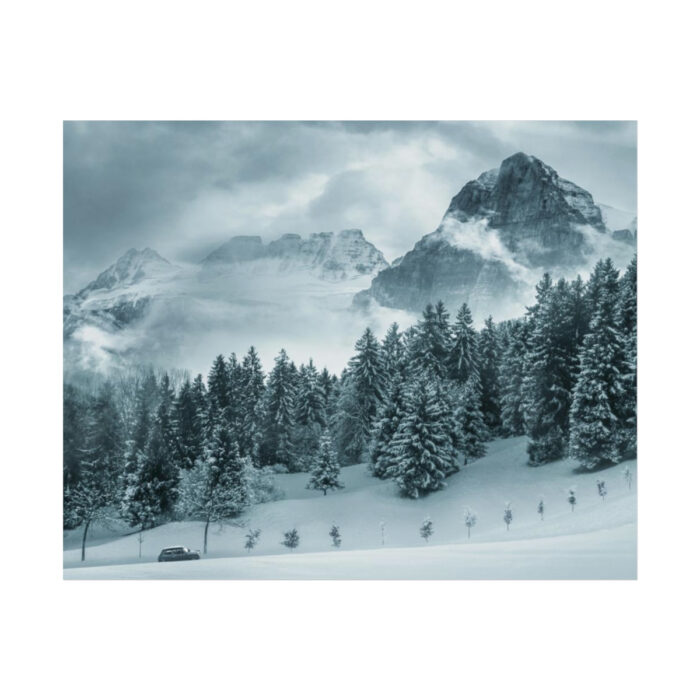 Car in Mountain Landscape With Snowy Trees Poster - Image 31