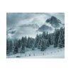 92374-15.jpg Car in Mountain Landscape With Snowy Trees Poster