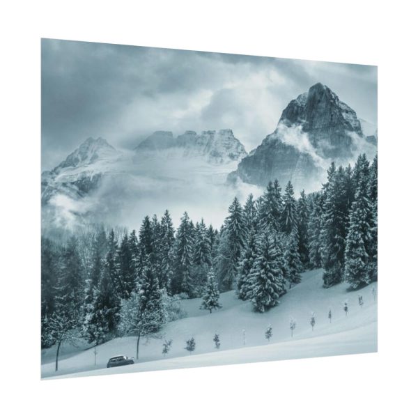 92374-17.jpg Car in Mountain Landscape With Snowy Trees Poster