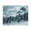 92375-15.jpg Car in Mountain Landscape With Snowy Trees Poster
