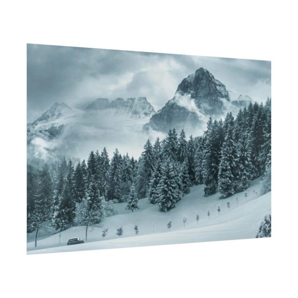 92377-17.jpg Car in Mountain Landscape With Snowy Trees Poster