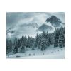 92378-15.jpg Car in Mountain Landscape With Snowy Trees Poster