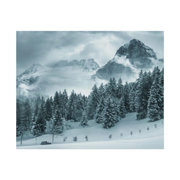 92378-15.jpg Car in Mountain Landscape With Snowy Trees Poster