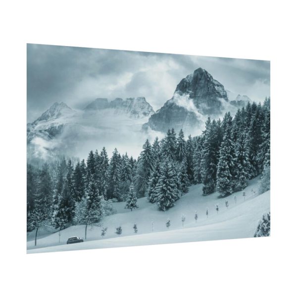 92382-17.jpg Car in Mountain Landscape With Snowy Trees Poster