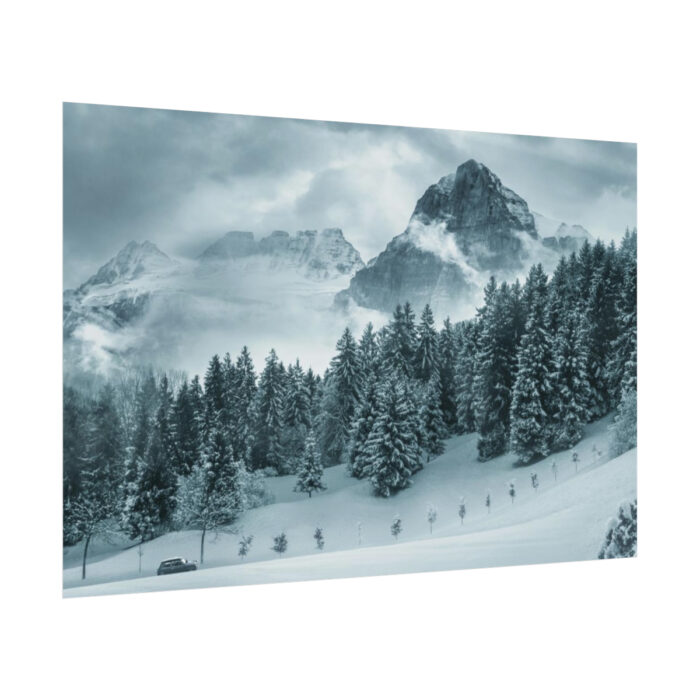 Car in Mountain Landscape With Snowy Trees Poster - Image 78