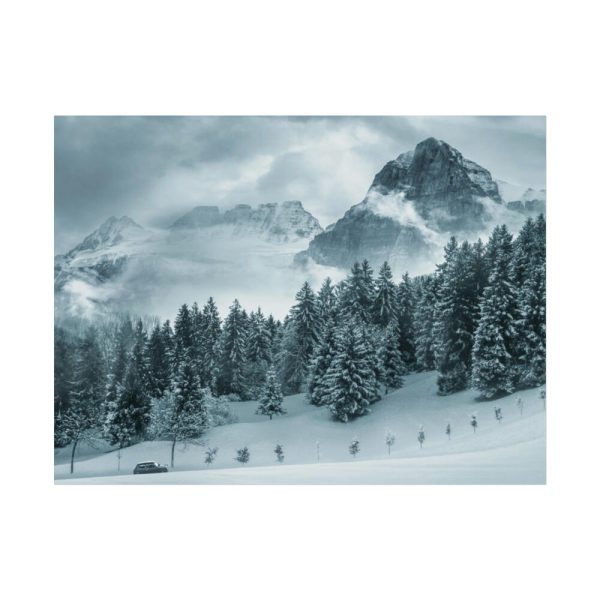 92385-15.jpg Car in Mountain Landscape With Snowy Trees Poster