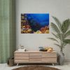 92408-128.jpg Ocean Life Poster