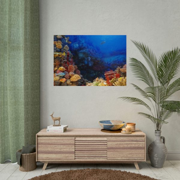 92408-128.jpg Ocean Life Poster