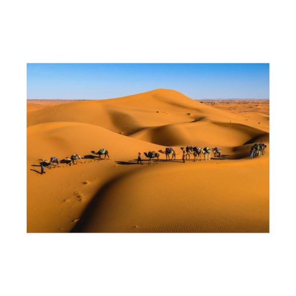 92408-25.jpg Gold Sand Dunes Poster