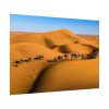 92408-27.jpg Gold Sand Dunes Poster