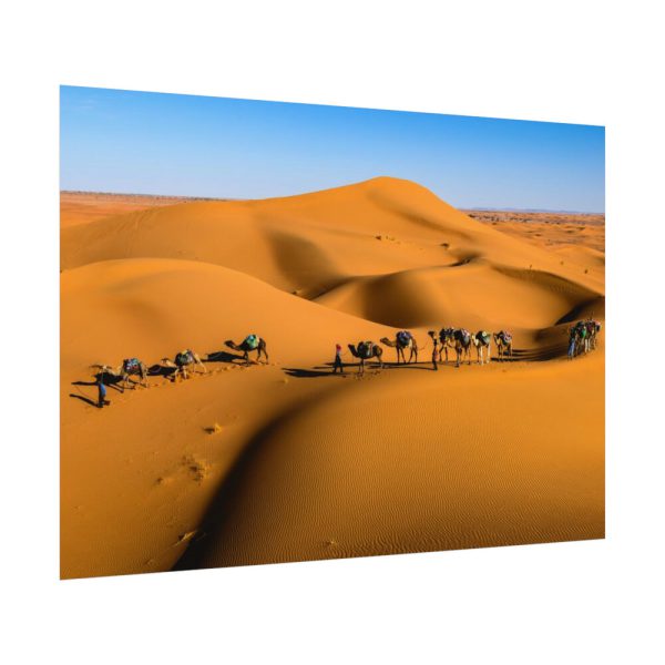92408-27.jpg Gold Sand Dunes Poster