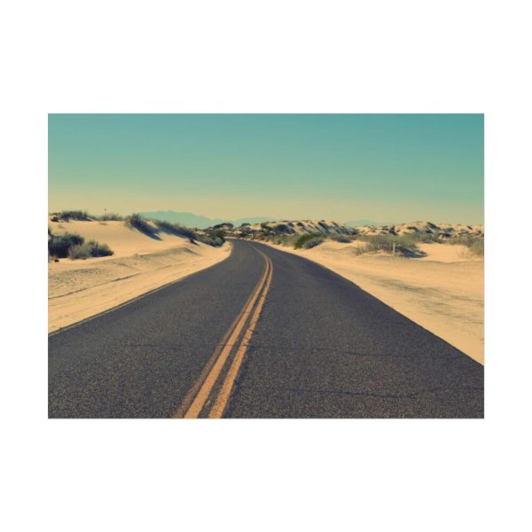 92408-485.jpg Road In A Desert Poster