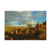 92408-520.jpg Sonoran Desert Poster