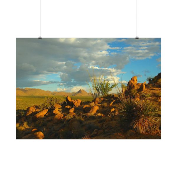 92408-521.jpg Sonoran Desert Poster