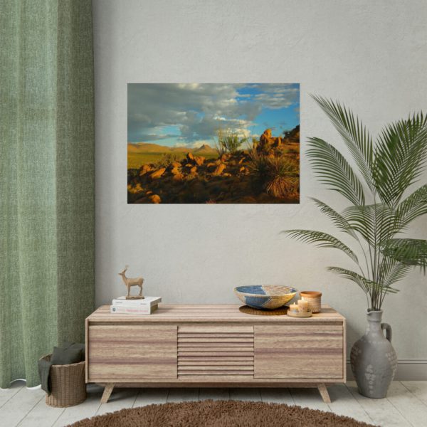 92408-523.jpg Sonoran Desert Poster