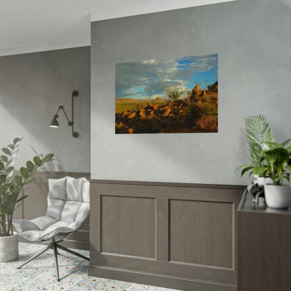 92408-524.jpg Sonoran Desert Poster