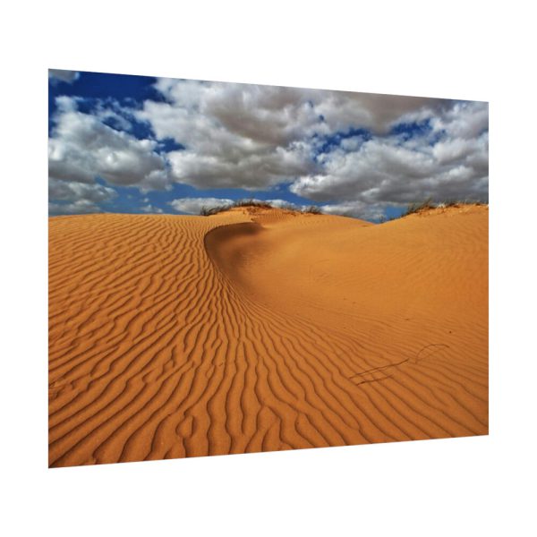 92408-527.jpg Ripples In The Sand Dunes Poster