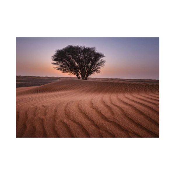92408-545.jpg Trees in the Desert Poster