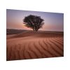 92408-547.jpg Trees in the Desert Poster