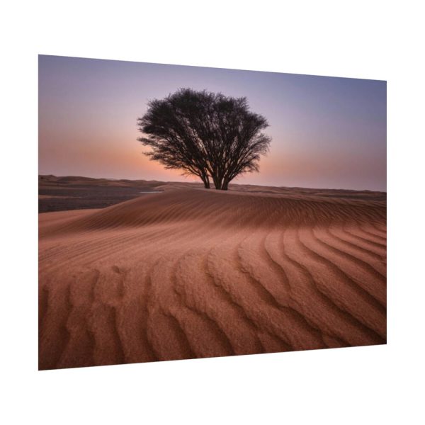 92408-547.jpg Trees in the Desert Poster