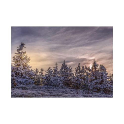 Way in Jesenik Mountain Poster