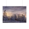 92408-571.jpg Way in Jesenik Mountain Poster