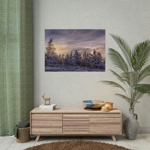 92408-573.jpg Way in Jesenik Mountain Poster