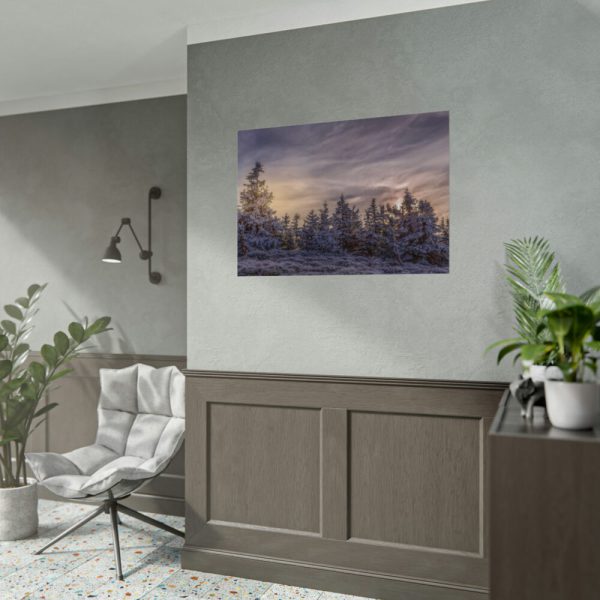 92408-574.jpg Way in Jesenik Mountain Poster