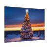 92408-602.jpg Lit Christmas Tree Outside Poster