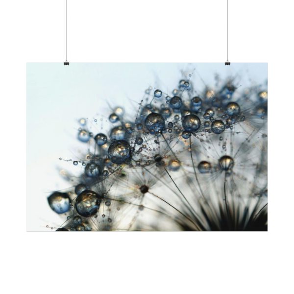 Dandelion Bloom Wildflower Nature Poster