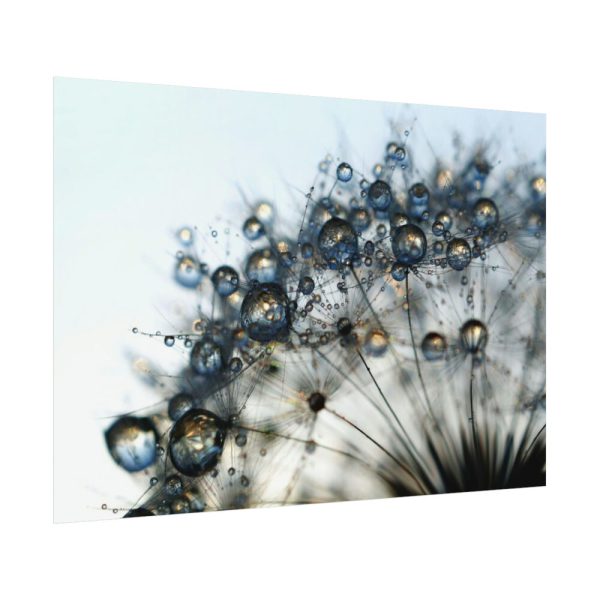 Dandelion Bloom Wildflower Nature Poster