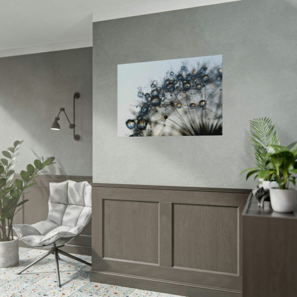 Dandelion Bloom Wildflower Nature Poster