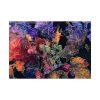 92408-705.jpg Sketched Outline Autumn Poster
