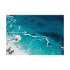 92408-75.jpg Seashore at Cape Point, South Africa Poster