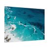 92408-77.jpg Seashore at Cape Point, South Africa Poster