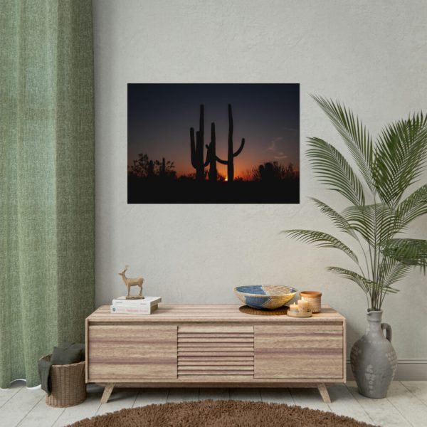 Saguaro Cacti at Sunset in the Arizona Desert Poster