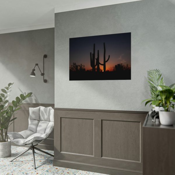 Saguaro Cacti at Sunset in the Arizona Desert Poster