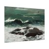 92408-97.jpg Summer Squall by Winslow Homer Poster