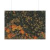 92409-11.jpg Autumnal Woods Drone View Poster