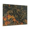 92409-12.jpg Autumnal Woods Drone View Poster