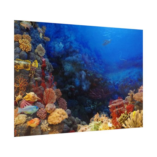 92409-127.jpg Ocean Life Poster