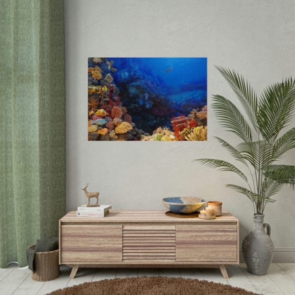 92409-128.jpg Ocean Life Poster